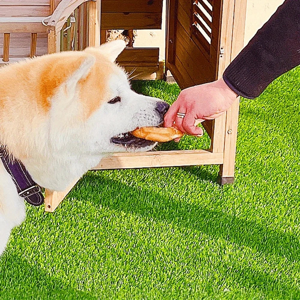 5.29oz/10.58(150g/300g) Dog Treats Long Lasting, Rawhide Chews for Dogs, Chicken Wrapped Rawhide Donuts Ring