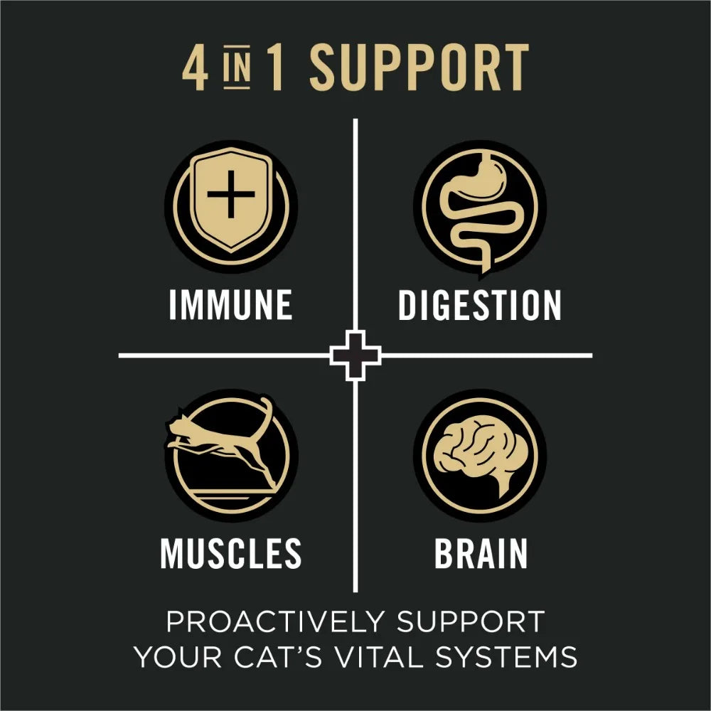 Vital Systems Dry Cat Food, Chicken & Egg, 3 lb Bag