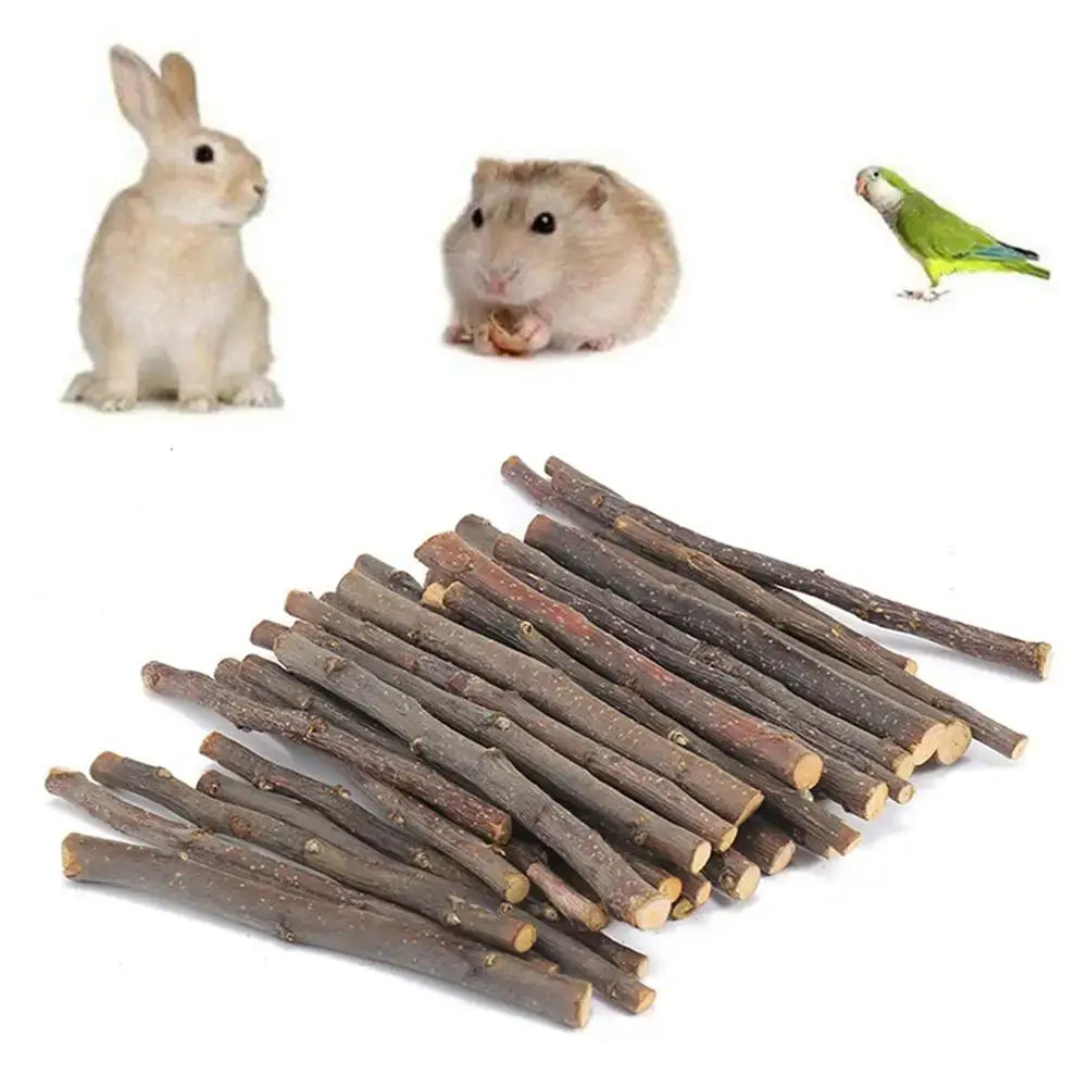 20/40/60Pcs Excellent Practical Rabbit Chew Stick Multipurpose Bite-Resistant Apple Tree Branches Bunny Hamsters Chew Toys