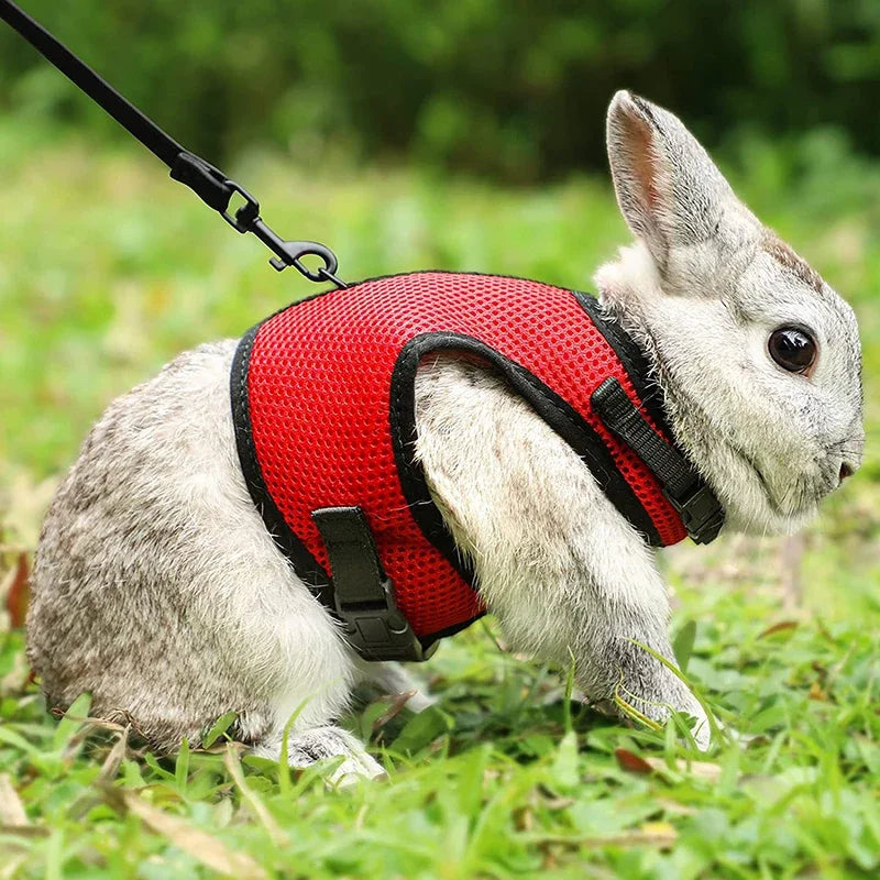 Mesh Breathable Ferret Bunny Harness Leash Set for Small Animals Rabbit Hamsters Summer Walking Pet Lead Pet Accessories