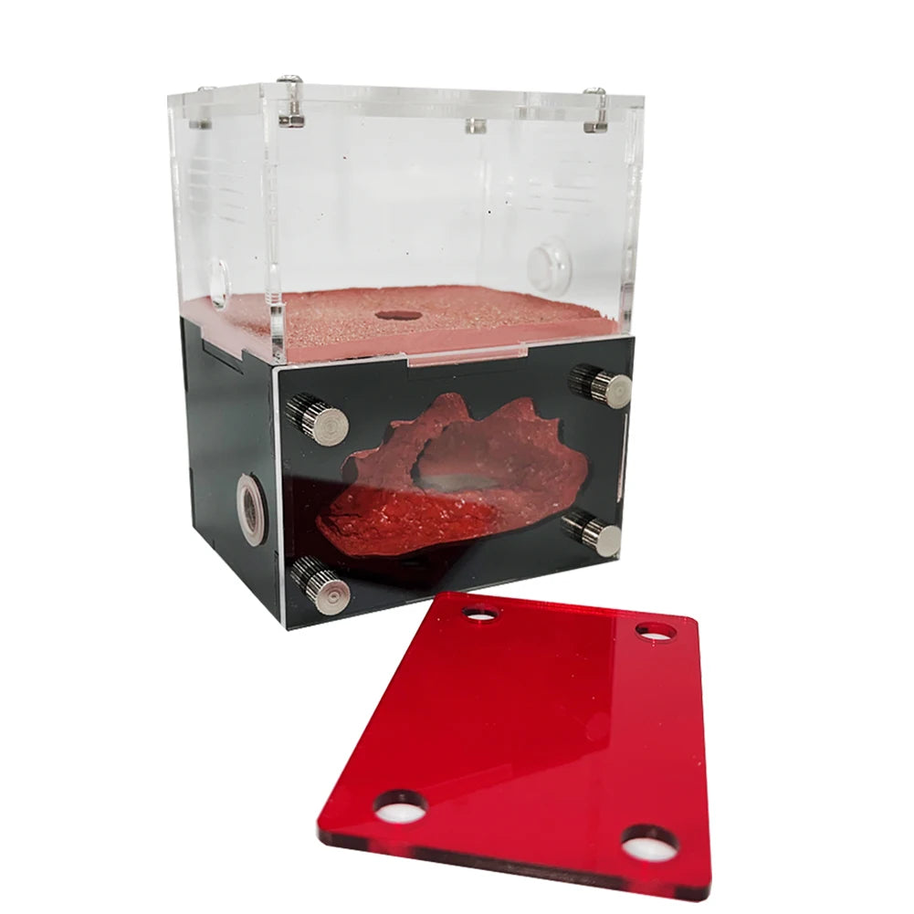 Acrylic Ant Farm Newbie The Concrete Ant Nest With Moisturizing Water Tower Queen Ant Breeding Insect House Anthill Workshop