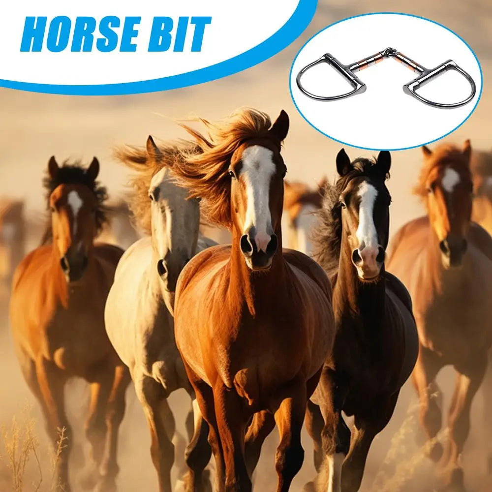 Horse Snaffle Bit D Ring Mouth Bit Roller With Copper Single Joint Horse Bit D-Ring Snaffle Bits For Equestrian Supplies