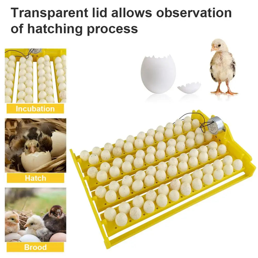 Eggs Incubator Automatic Incubator Hatching Chicken Eggs. Egg Tray Charged Poultry Hatcher Turner Automatic Farm Incubation Tools