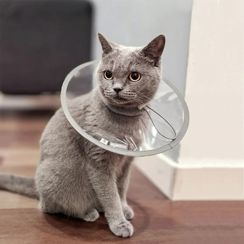 Comfortable Pet Recovery Clear Cone Collar Multiple Sizes Adjustable Recovery Collar Soft For Pet Dog Cats