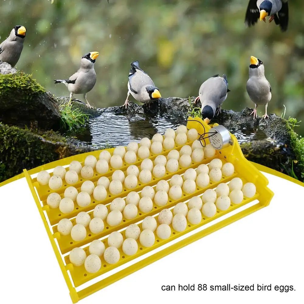Eggs Incubator Automatic Incubator Hatching Chicken Eggs. Egg Tray Charged Poultry Hatcher Turner Automatic Farm Incubation Tools