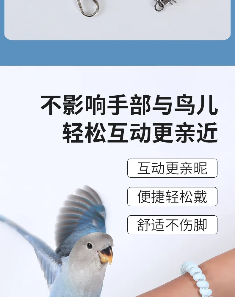 Parrot Bird Flying Training Leash Ultra-light Flexible Rope Anti-bite Leg Ring Harness Outdoor Macaw Cockatiel Starling