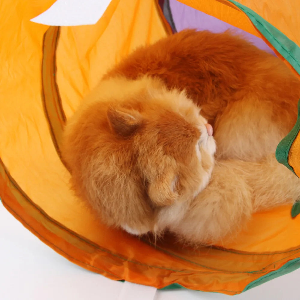 Can Be Freely Spliced Together Cat Rainbow Tunnel L-shaped Channel Can Be Folded Stored Rested Played and Universal Toy