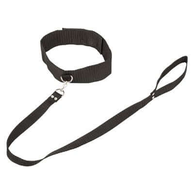 Pet Leashes