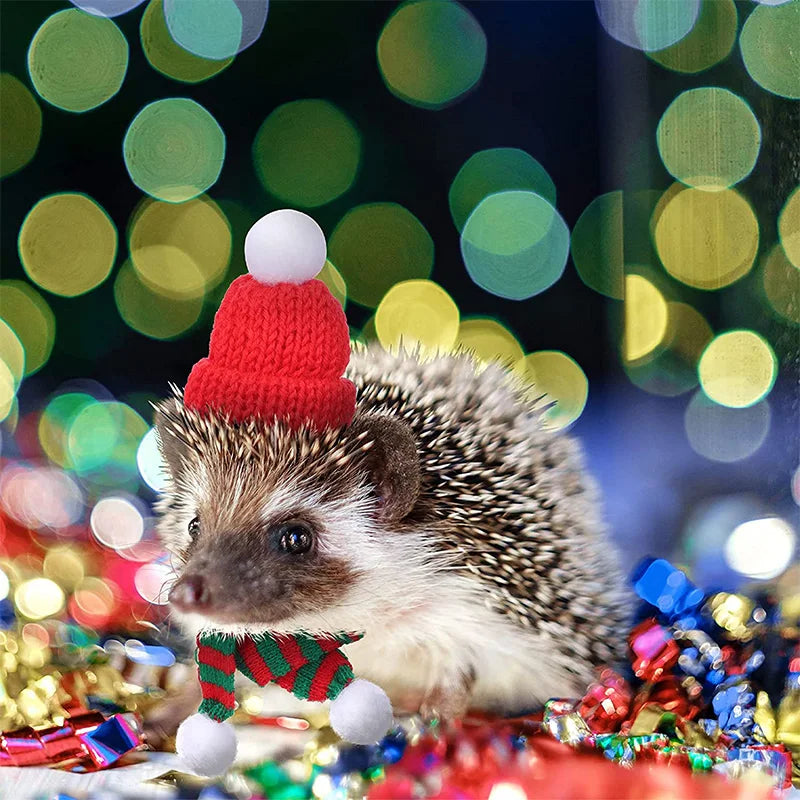 Hamster Guinea Pig Christmas Costume Mini Small Pet Items Hat Scarf Christmas Headwear Pet Outfits for Chinchilla Rabbit Accessories