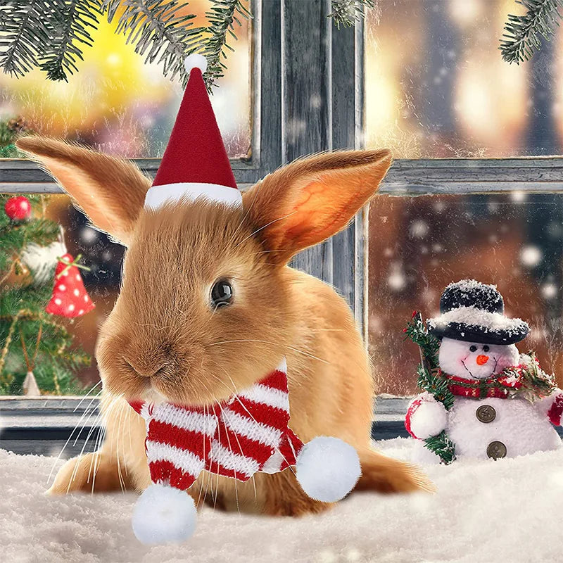 Hamster Guinea Pig Christmas Costume Mini Small Pet Items Hat Scarf Christmas Headwear Pet Outfits for Chinchilla Rabbit Accessories