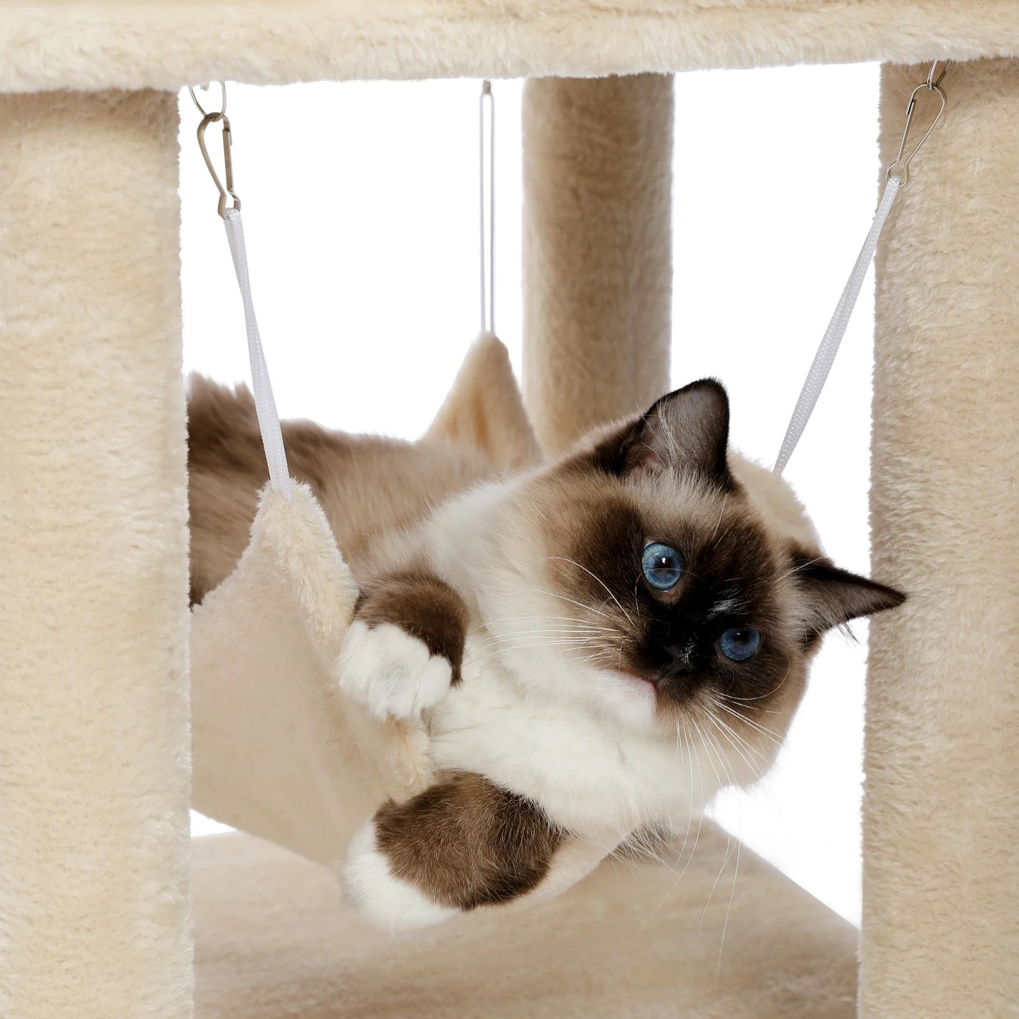 Pet Cat Tree House Condo Perch Entertainment Playground Stable Furniture for Kitten Multi-Level Tower for Large Cat Cozy Hommock