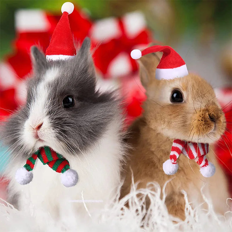 Hamster Guinea Pig Christmas Costume Mini Small Pet Items Hat Scarf Christmas Headwear Pet Outfits for Chinchilla Rabbit Accessories