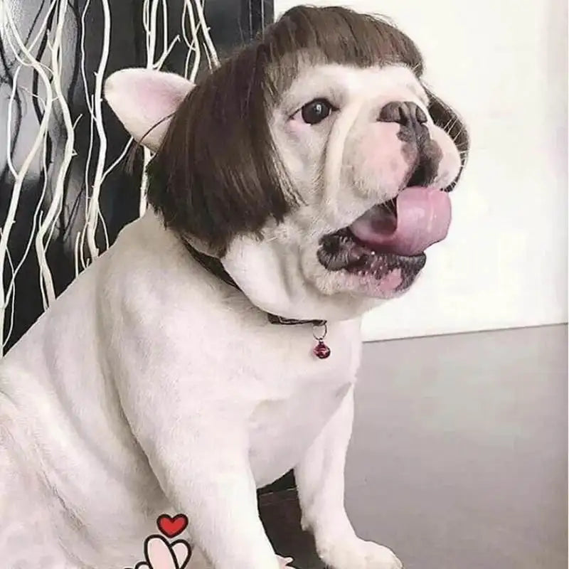 NONOR Pet Wigs Cosplay Props Funny Dogs Cats Cross-Dressing Hair Hat Costumes Head Accessories for Halloween Christmas Supplies