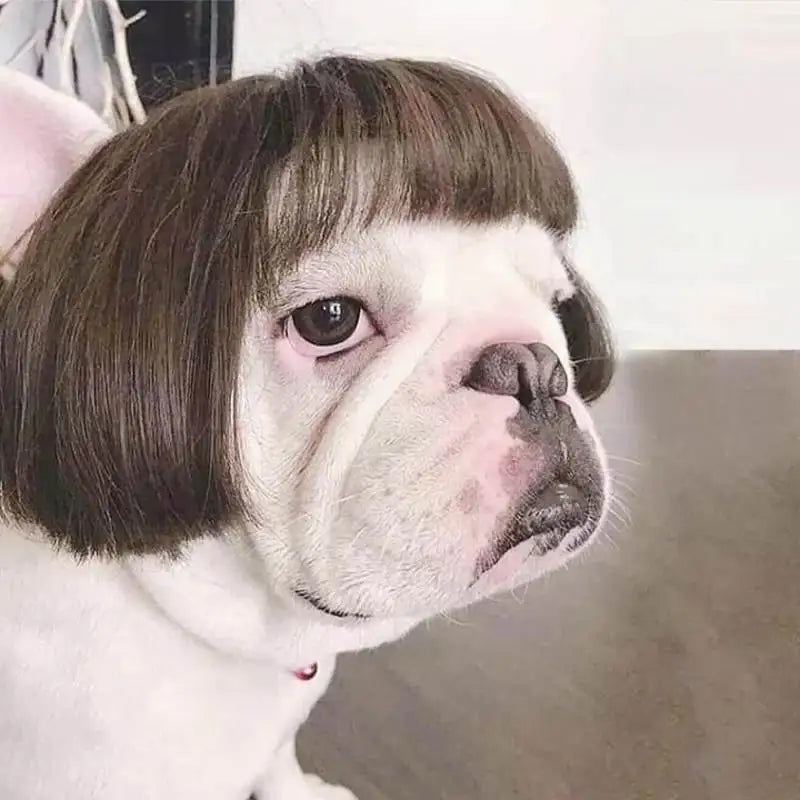 NONOR Pet Wigs Cosplay Props Funny Dogs Cats Cross-Dressing Hair Hat Costumes Head Accessories for Halloween Christmas Supplies