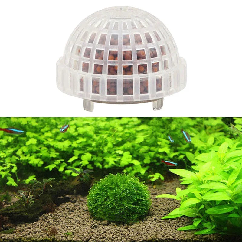 5cm Natural Marine Plant Moss Culture Dish Aquarium Fish Tank Decoration Home Decoration Non Plant