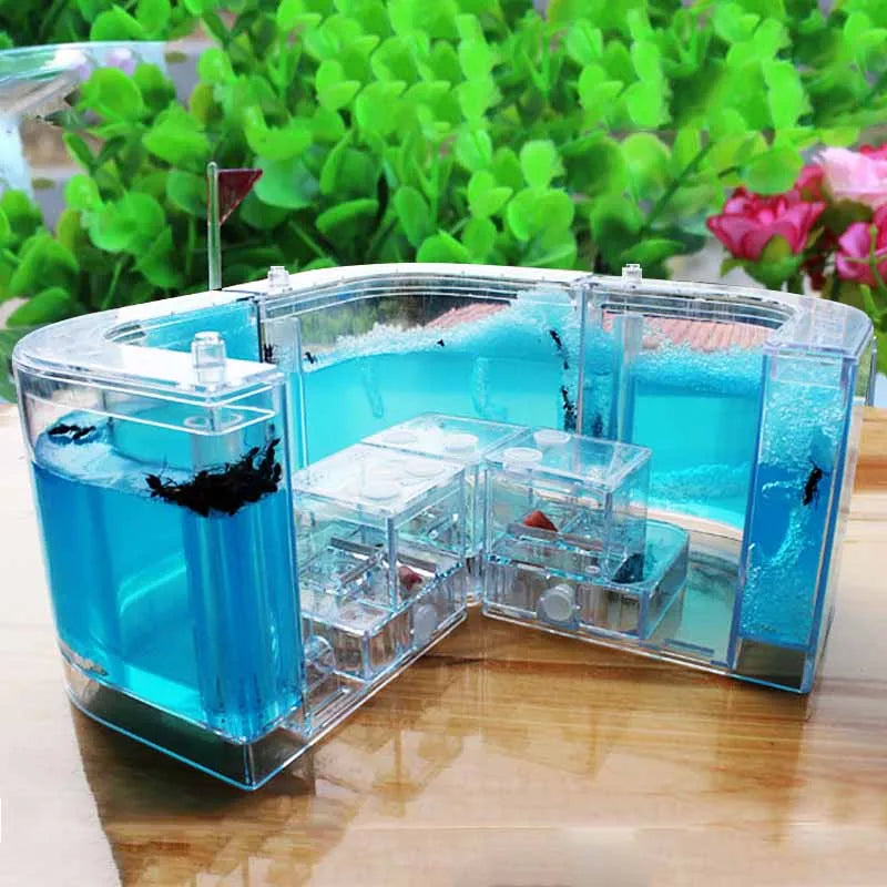1PCS 3D Insect Acrylic For Ant Farm Observed Expansion Maze House Educational Decor Accessories Look into World Bug Box