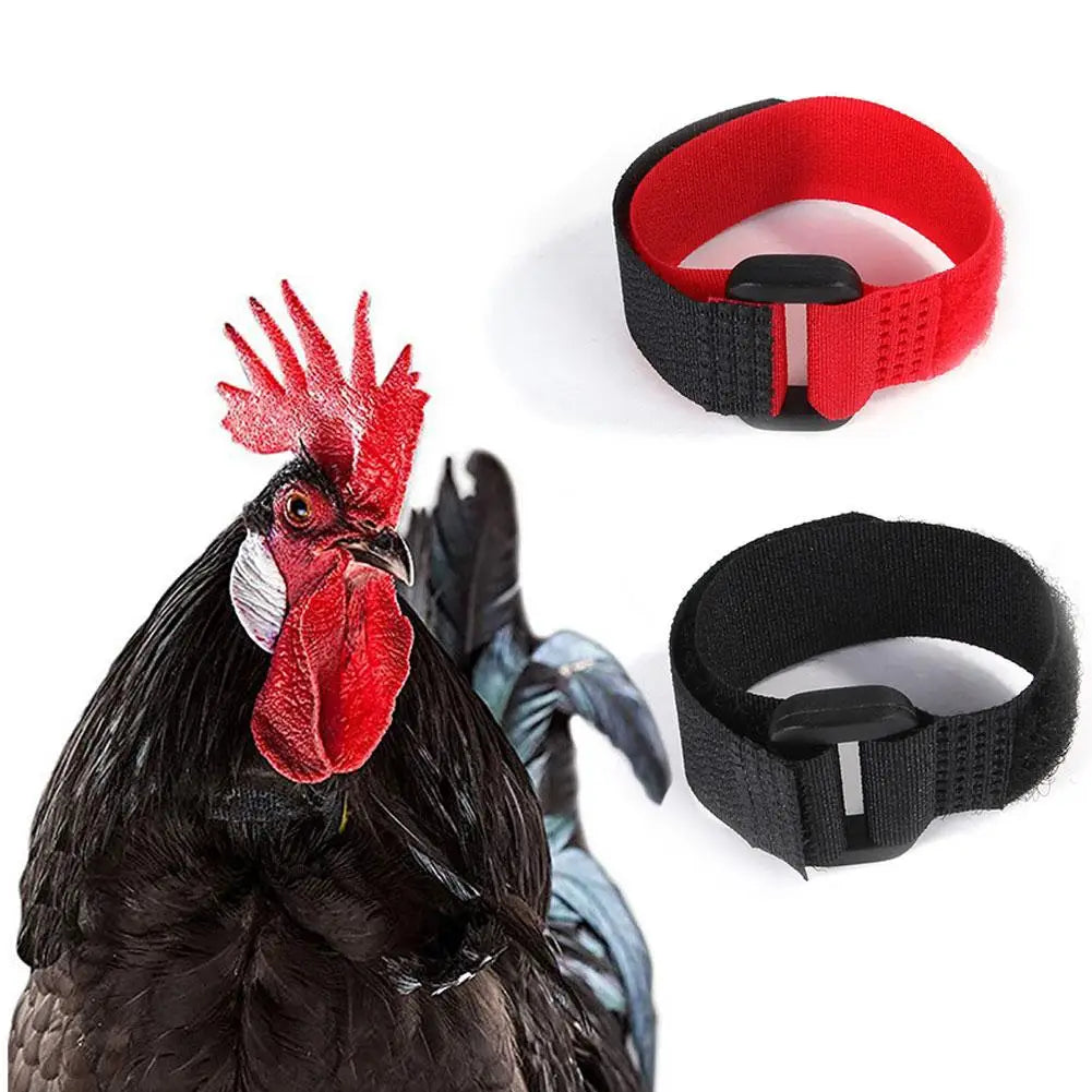Rooster Noise-Free Anti-Hook Neckband Collar Chicken Collar No-Crow Rooster Collar Fowl Neckband Accessories For Farm Poultry