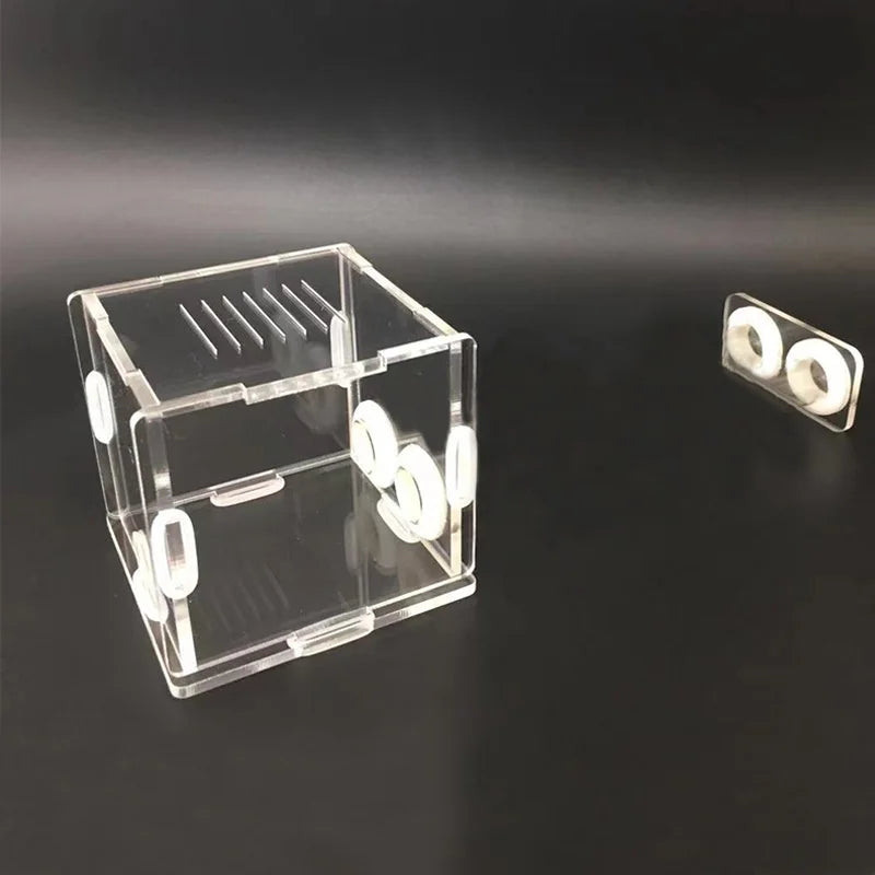 DIY Various Size Ant Farm Bamboo Tube Nest with Feeding Area Pet Anthill Workshop Queen Ant Breeding Nest Ant House Nest Bracket