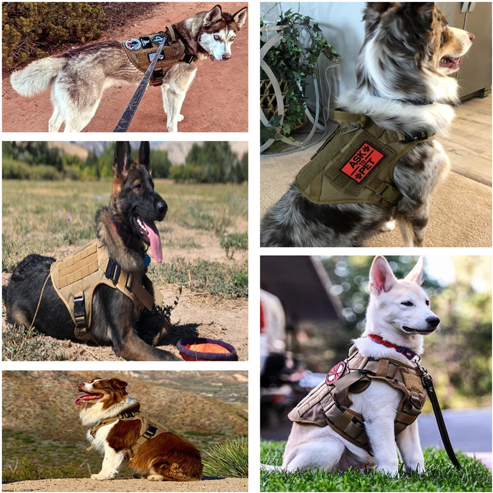 Military Large Dog Harness Collar Leash Bags Patches Set Malinois Training Vests Tactical Dogs Harnesses Accessories