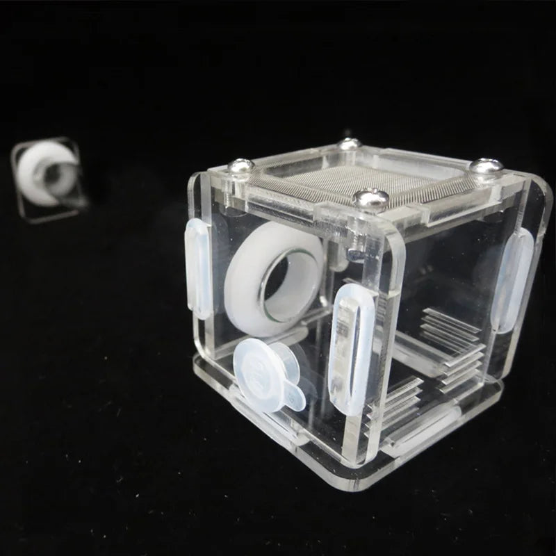 DIY Various Size Ant Farm Bamboo Tube Nest with Feeding Area Pet Anthill Workshop Queen Ant Breeding Nest Ant House Nest Bracket