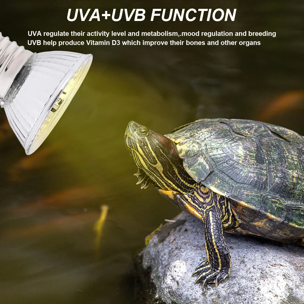 Reptile  Heat Lamp Bulb  Dimmable With Clip-on Dimmable UVA UVB Turtle Tortoises Basking Lights Timing Pet Amphibians Lizards Heating Bulb