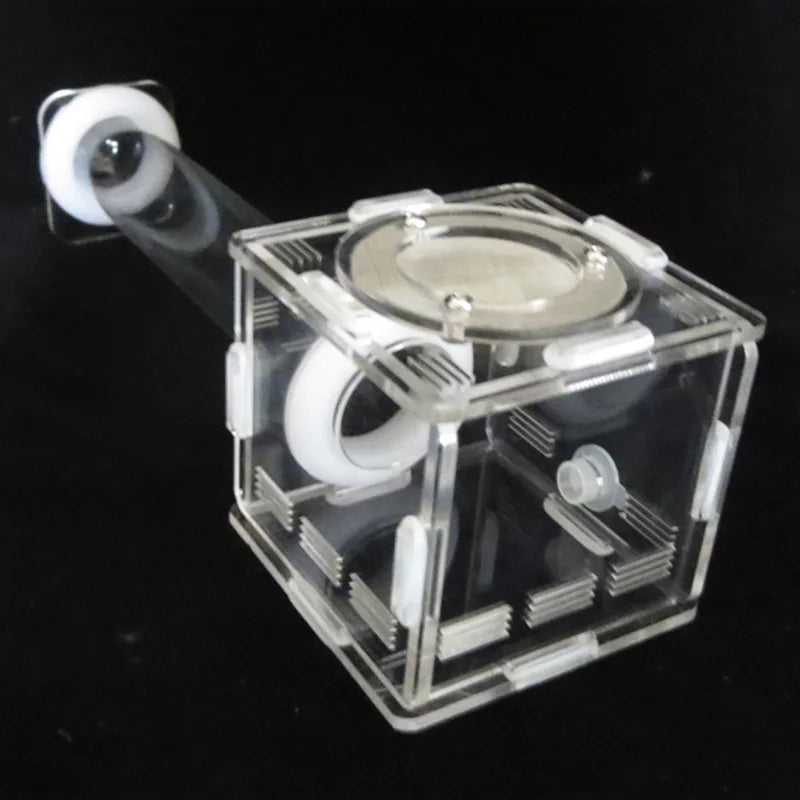 DIY Various Size Ant Farm Bamboo Tube Nest with Feeding Area Pet Anthill Workshop Queen Ant Breeding Nest Ant House Nest Bracket