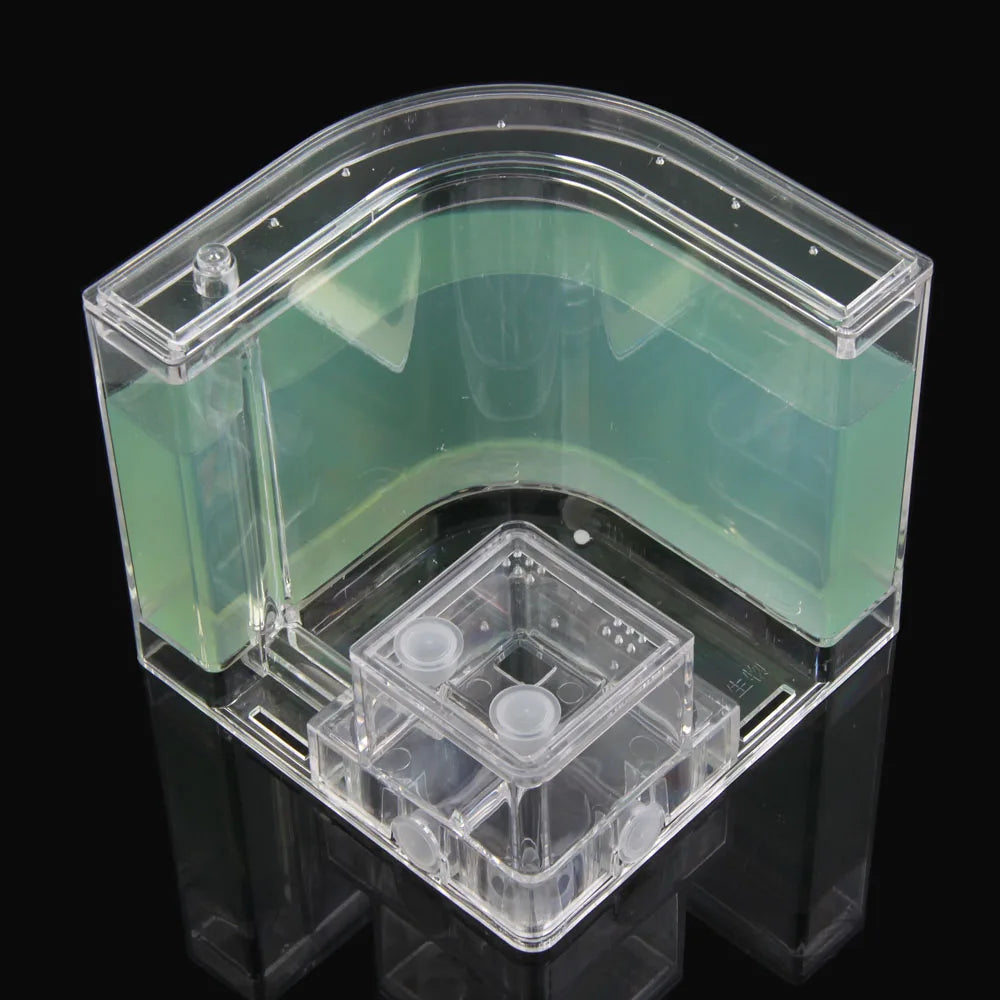 1PCS 3D Insect Acrylic For Ant Farm Observed Expansion Maze House Educational Decor Accessories Look into World Bug Box