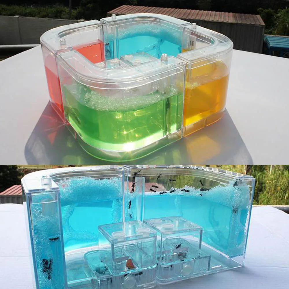 1PCS 3D Insect Acrylic For Ant Farm Observed Expansion Maze House Educational Decor Accessories Look into World Bug Box