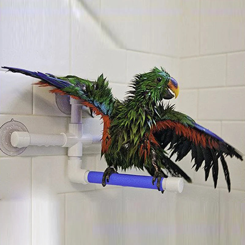 High Quality Parrot Bath Shower Standing Platform Rack Parrot Climbing and Biting Shower Perch Parakeet Bird Toy Random Color