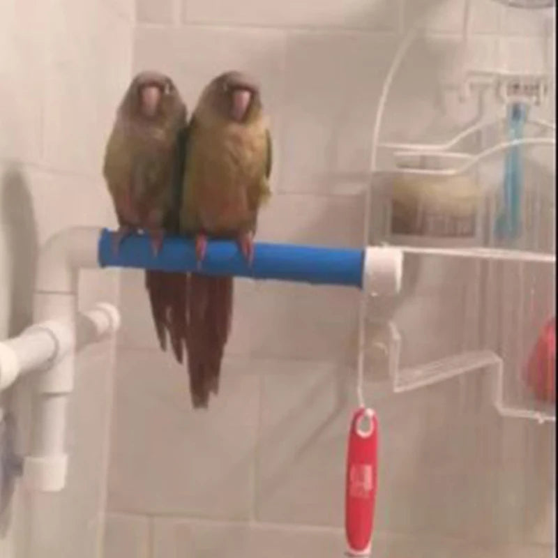 High Quality Parrot Bath Shower Standing Platform Rack Parrot Climbing and Biting Shower Perch Parakeet Bird Toy Random Color