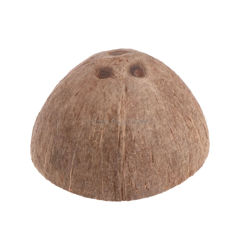 Reptile Hide Habitat Natural Coconut Shell Lizard Spider Small Animal Cave House