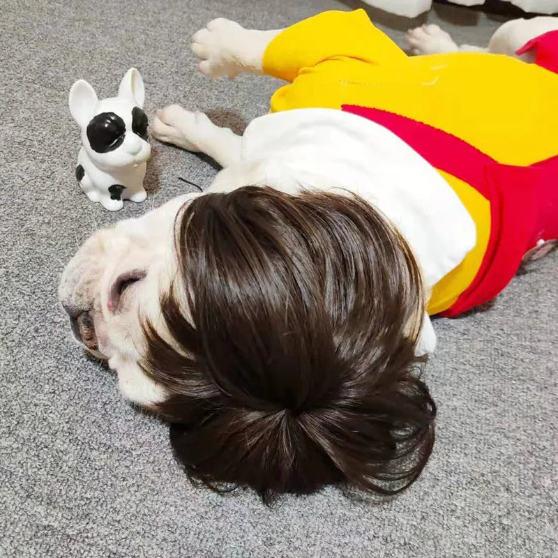 NONOR Pet Wigs Cosplay Props Funny Dogs Cats Cross-Dressing Hair Hat Costumes Head Accessories for Halloween Christmas Supplies