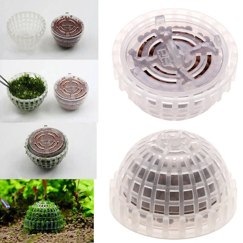 5cm Natural Marine Plant Moss Culture Dish Aquarium Fish Tank Decoration Home Decoration Non Plant