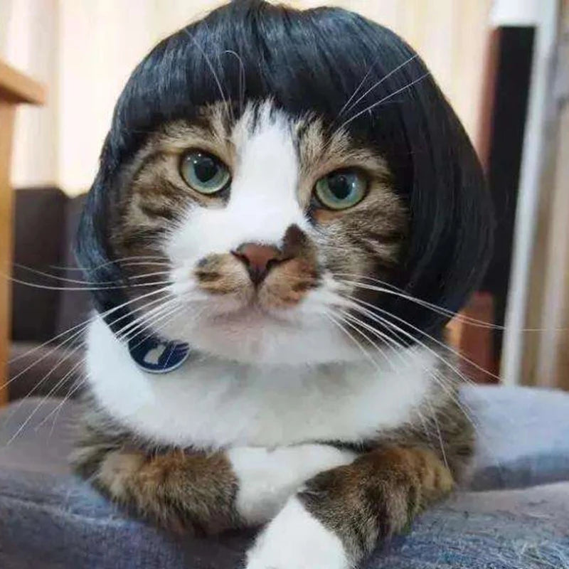 NONOR Pet Wigs Cosplay Props Funny Dogs Cats Cross-Dressing Hair Hat Costumes Head Accessories for Halloween Christmas Supplies