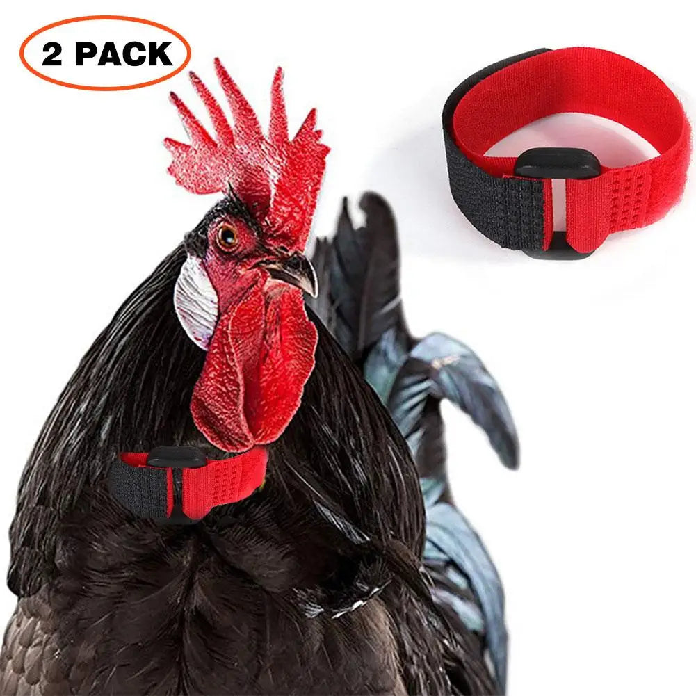 Rooster Noise-Free Anti-Hook Neckband Collar Chicken Collar No-Crow Rooster Collar Fowl Neckband Accessories For Farm Poultry