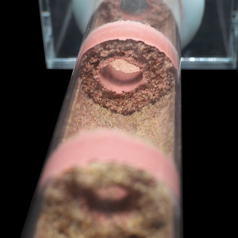 DIY Various Size Ant Farm Bamboo Tube Nest with Feeding Area Pet Anthill Workshop Queen Ant Breeding Nest Ant House Nest Bracket