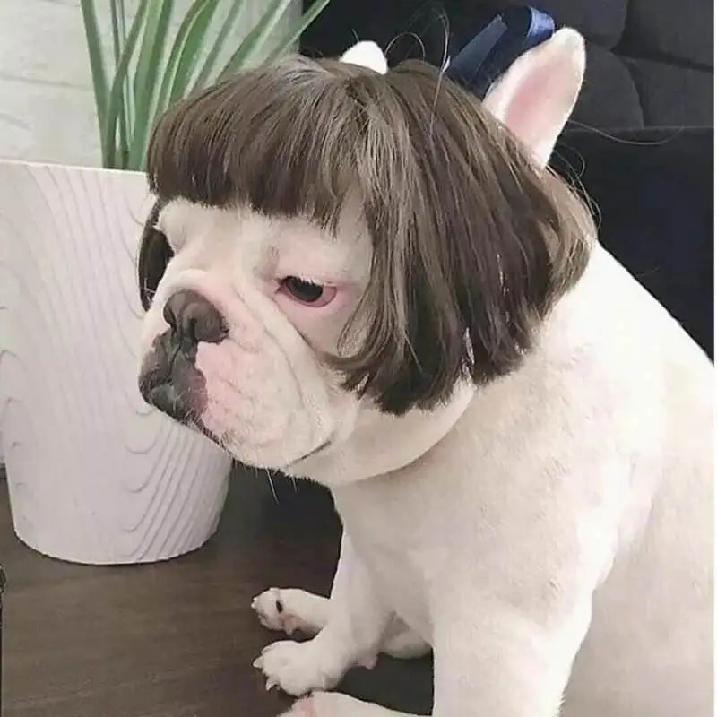 NONOR Pet Wigs Cosplay Props Funny Dogs Cats Cross-Dressing Hair Hat Costumes Head Accessories for Halloween Christmas Supplies