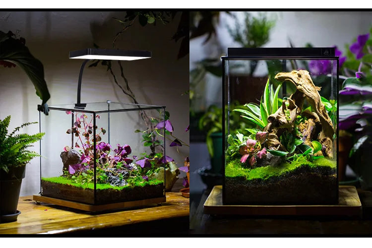 WEEK AQUA USB aquarium light Plant Grow Full spectrum LED Ecology Micro landscape light Nano aquarium light