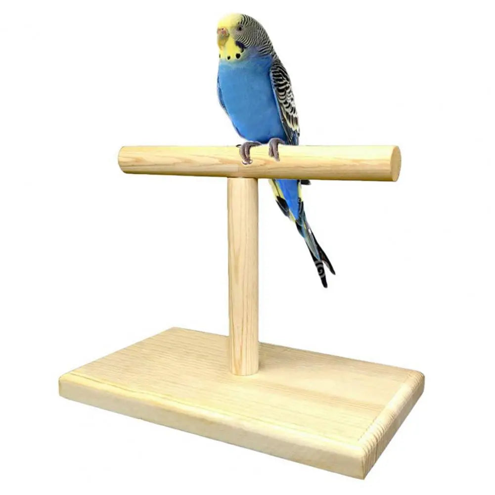 Practical Bird Training Perch Compact Safe Lightweight Bird Training Exercise Stand  Bird Stand Stable