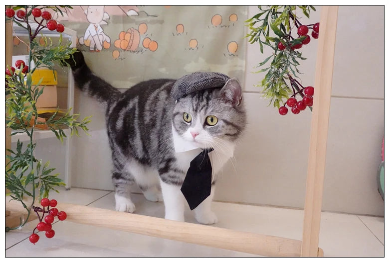 Funny Pet Cat Hat and tie Gentleman's Hat Beret Tie Bathing Blood Gangster Handsome Cosplay Photo Prop Pet Halloween Costume