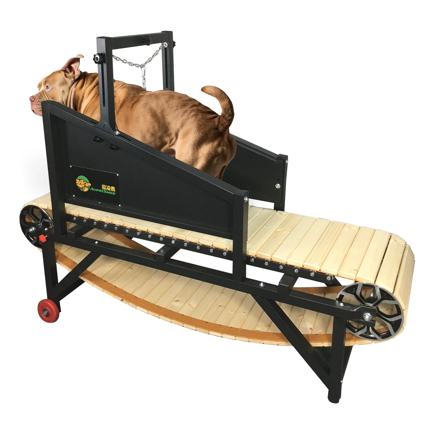 Best Quality Dog Treadmill for Large  Dogs USA  Drop Delivery