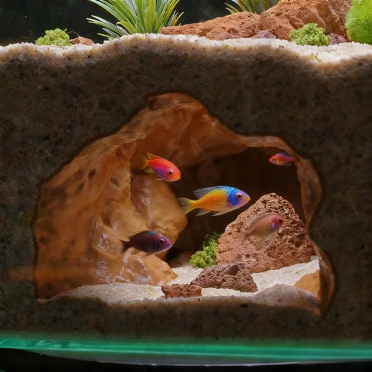 Realistic Cave Landscape Ornament - Multi-Use Hideaway for Fish Shrimp Turtle in Aquarium & Reptile Tank