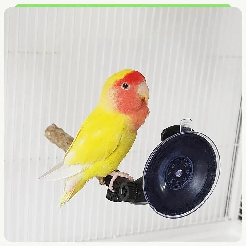 1pc-natural wood bird perch rod, parrot claw grinder rod, bird cage accessories, bird cage claw grinder bracket rod