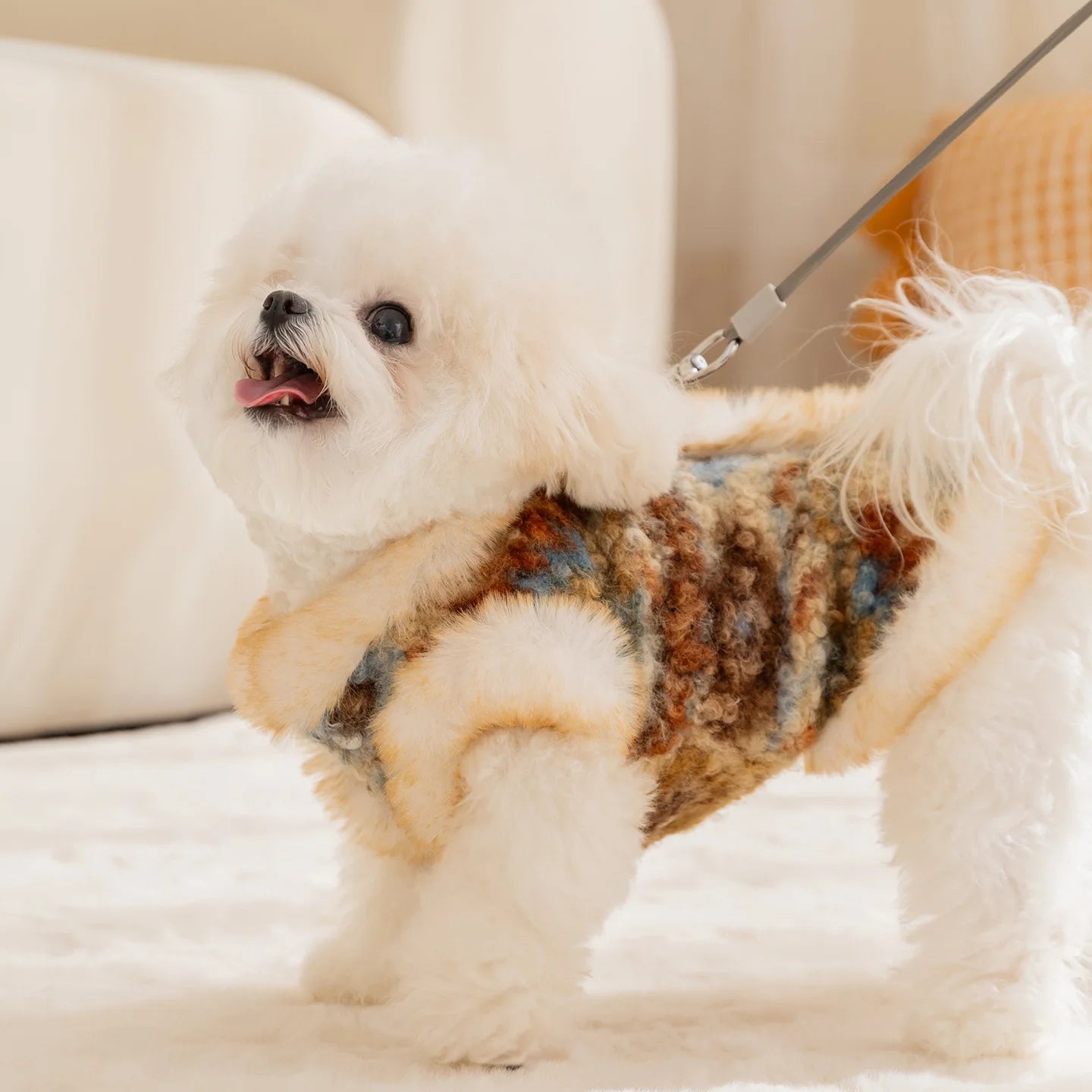 Winter Autumn Warm Clothes Dog Velvet Vest For Small Medium Puppy Bichon Teddy Thicken Pet Warm Clothes New Year Dog Clothing and Cat Clothing