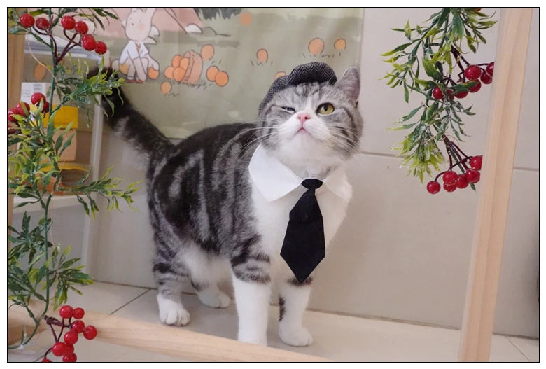 Funny Pet Cat Hat and tie Gentleman's Hat Beret Tie Bathing Blood Gangster Handsome Cosplay Photo Prop Pet Halloween Costume