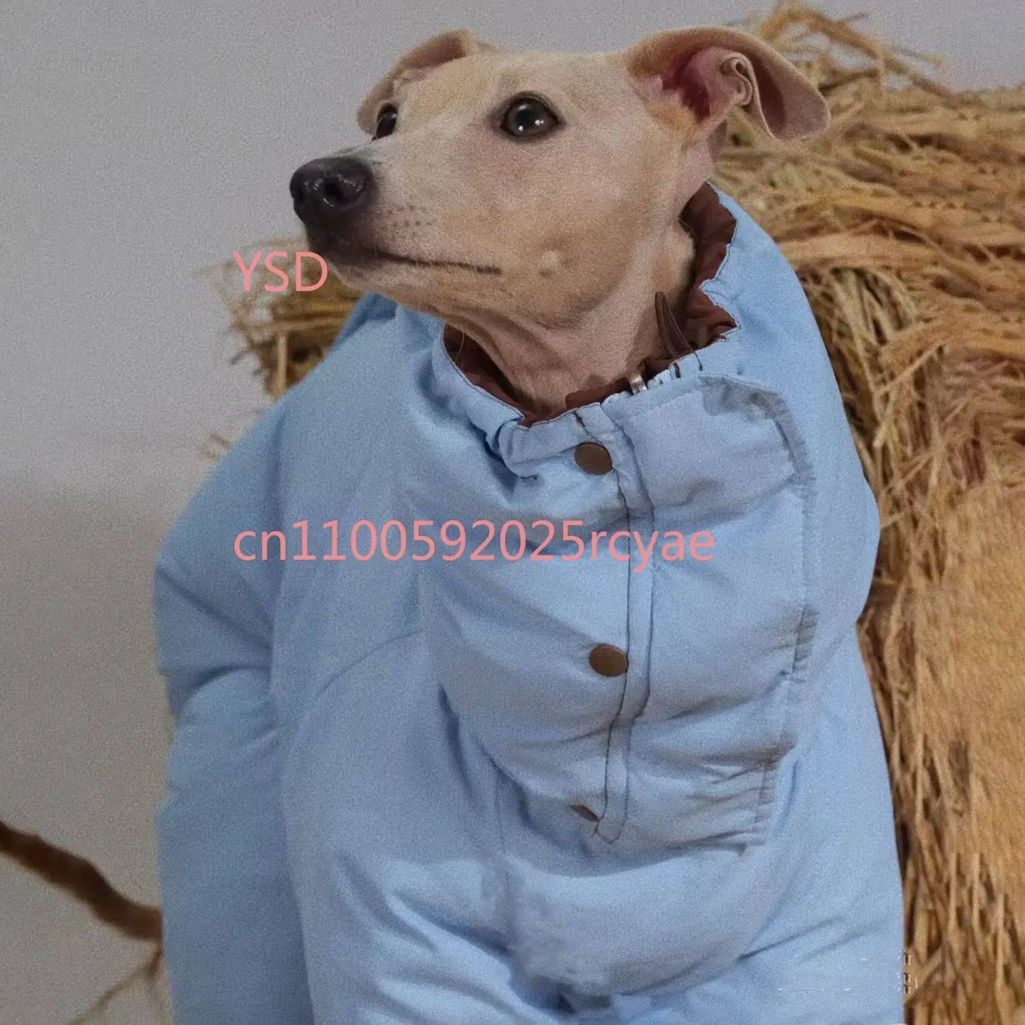 Autumn Winter Medium Dog Turtleneck Coat - Windproof Warm Eco-Cotton Padded Clothes