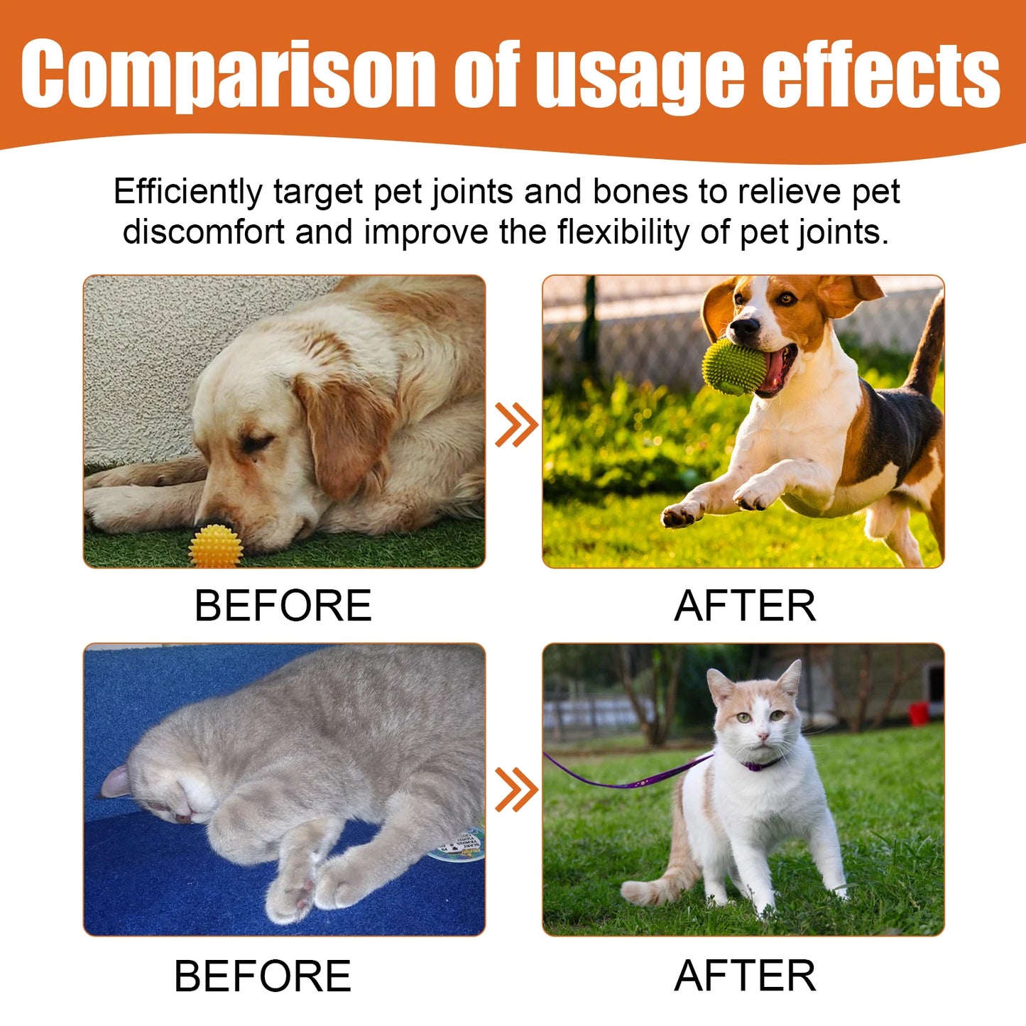 Pet Bee Venom Water Saving Cats Dogs To Relieve Leg Joint And Hip Pain Care Water-Contains Bee Venom Vitamin