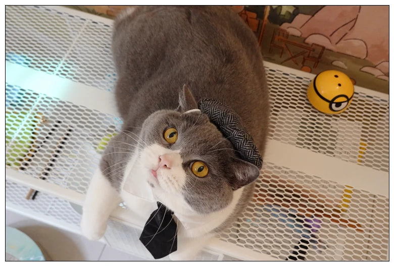 Funny Pet Cat Hat and tie Gentleman's Hat Beret Tie Bathing Blood Gangster Handsome Cosplay Photo Prop Pet Halloween Costume