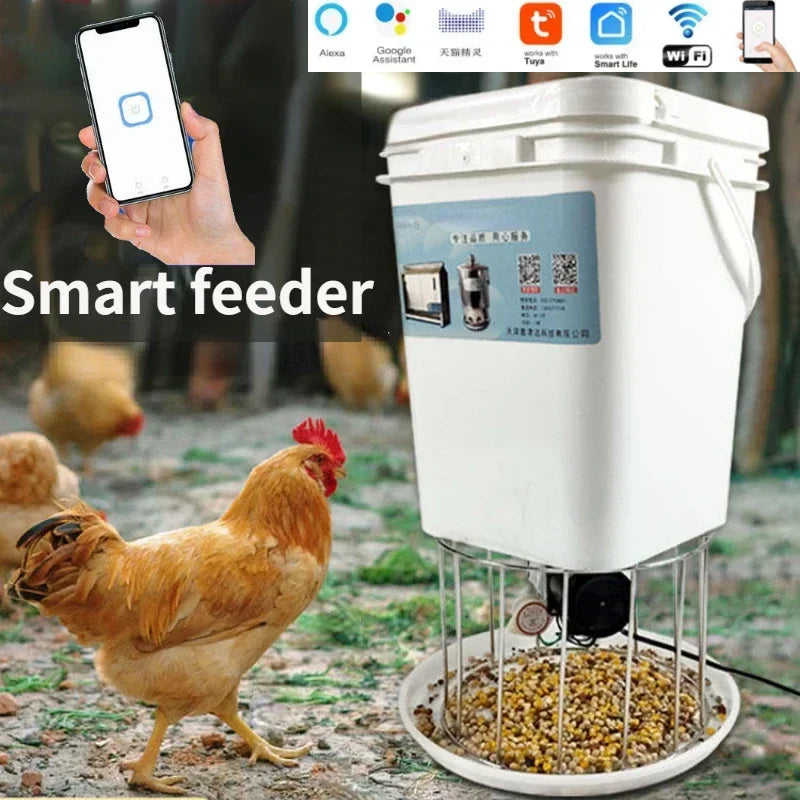 Automatic Chicken Feeder Pigeon Chicken Duck Carrier Pigeon Trough Intelligent Timing Automatic Chicken Feeder Pigeon Supplies