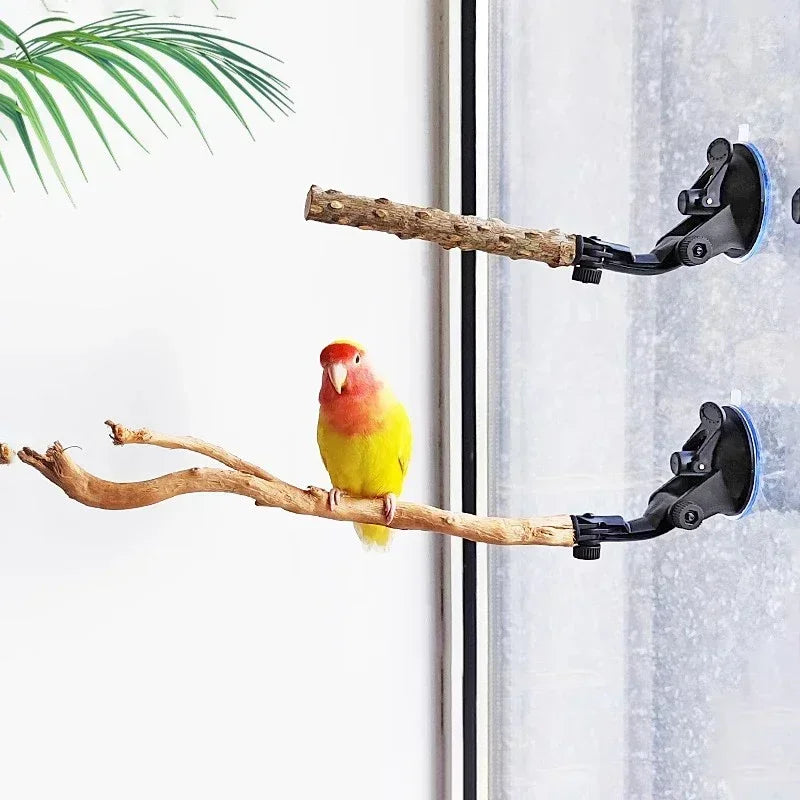 1pc-natural wood bird perch rod, parrot claw grinder rod, bird cage accessories, bird cage claw grinder bracket rod